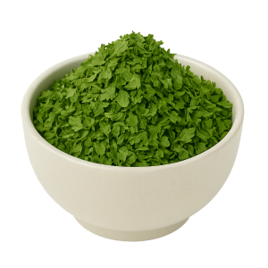 Coriander Leaves